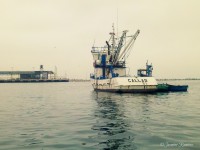 /album/isla-blanca/a2013-05-30-08-29-52-412-jpg/