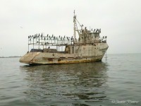 /album/isla-blanca/a2013-05-30-08-30-37-326-jpg/