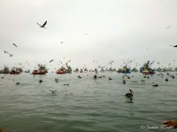 /album/isla-blanca/a2013-05-30-08-57-55-780-jpg/