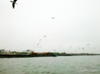 /album/isla-blanca/a2013-05-30-09-04-25-535-jpg/