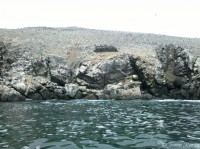 /album/isla-blanca/a2013-05-30-09-26-46-130-jpg/