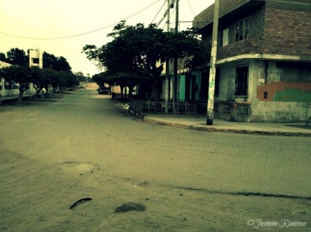 No existen tachos de basura, siendo una I.E. y donde muchas veces la concurrencia genera basura.
